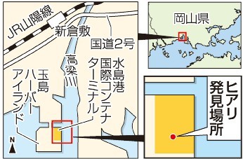倉敷・水島港で「ヒアリ」200匹　中四国で初確認、女王2匹も （山陽新聞デジタル） - Yahoo!ニュース