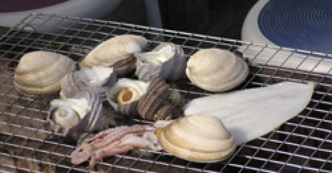 【日生で】今が旬！牡蠣バーベキューのススメ【牡蠣BBQ】 | さまくるおかやま|岡山の情報をひとまとめに【Summacle Okayama】