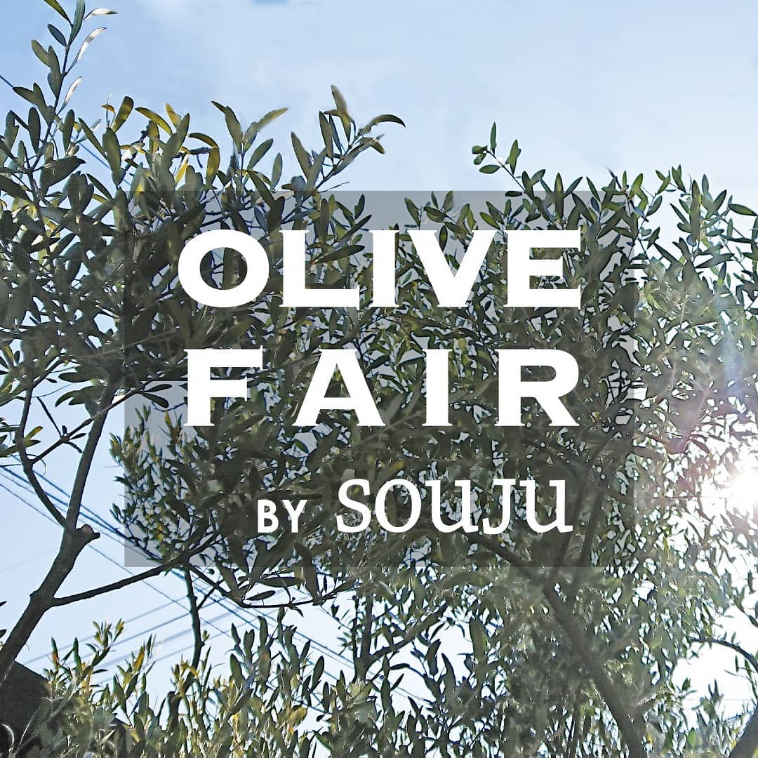 ELD INTERIOR PRODUCTS on Instagram: “現在 ELD 岡山ショールームにおきまして オリーブフェアを開催しています。  大小様々なオリーブの樹はもちろん、オリーブオイルやオリーブを使用したコスメなども販売。  販売元は香川県のオリーブ生産者さんである創樹 (SOUJU) @souju_olive 。…”