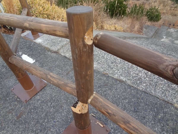 「8年越しの花嫁」ロケ地の柵壊れる　岡山・浅口の公園、市が被害届 （山陽新聞デジタル） - Yahoo!ニュース