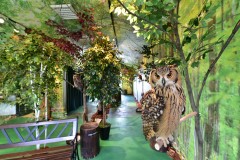 倉敷フクロウの森 - 猫カフェ、ふれあいフクロウ園｜フクロウの森とヒョウ猫の森