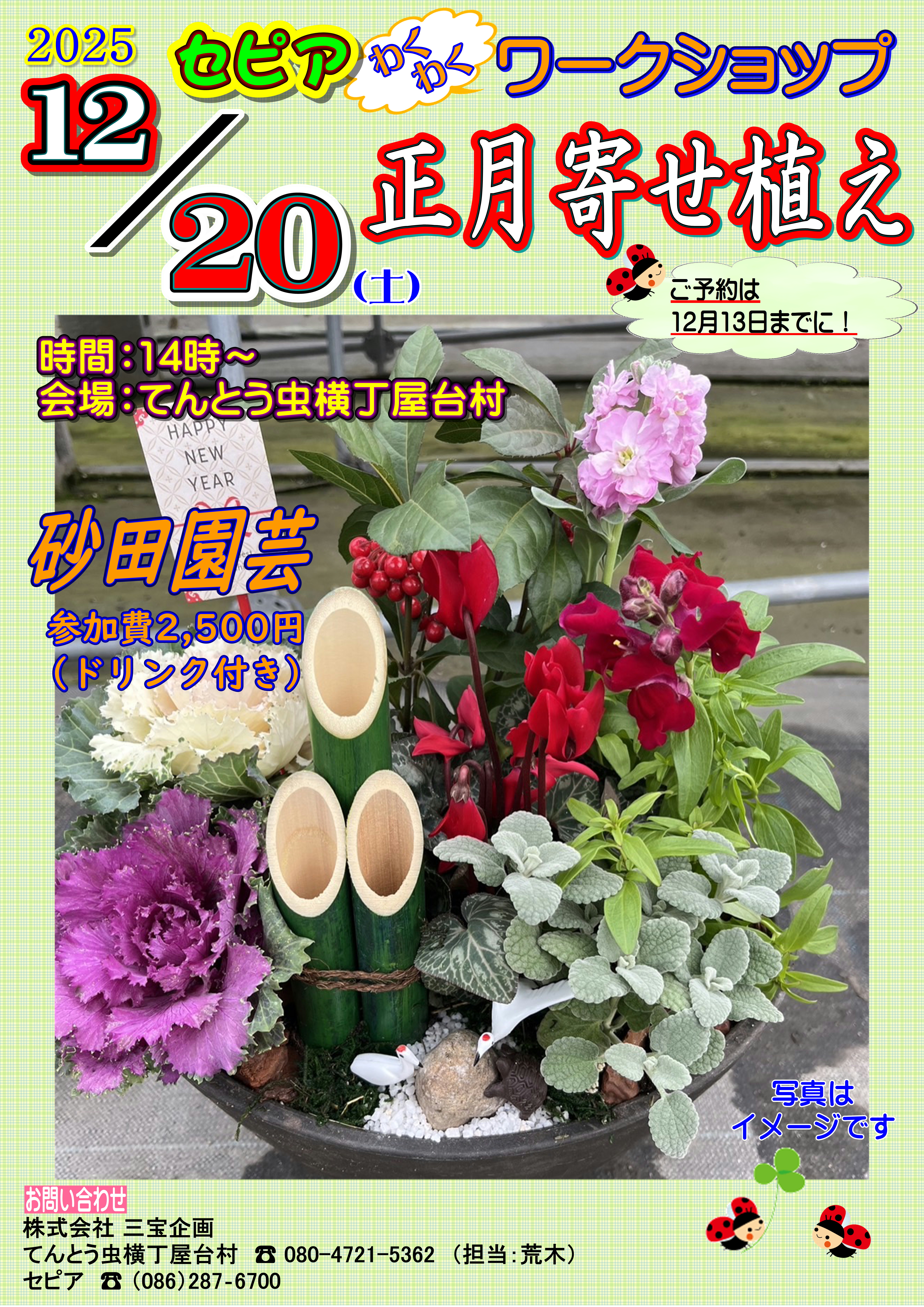 セピアわくわくワークショップ♪ 正月寄せ植え(要予約)