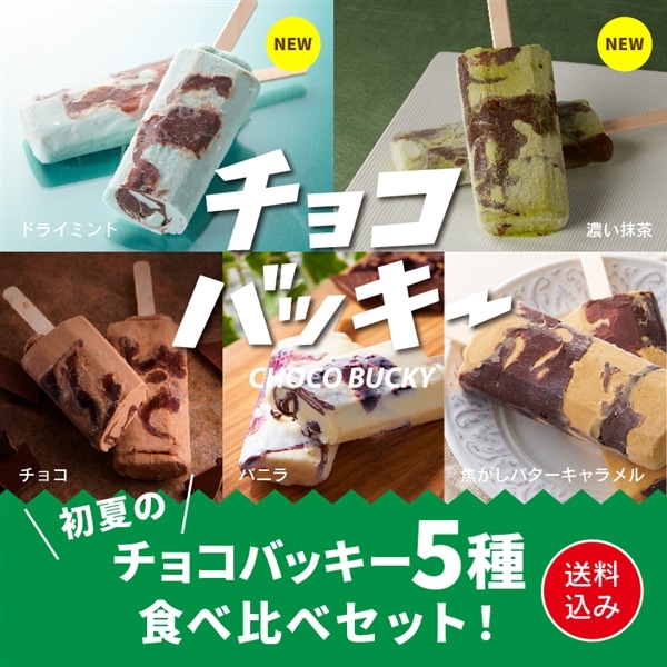 【通販】チョコバッキー食べ比べセット 5種36本 送料無料
