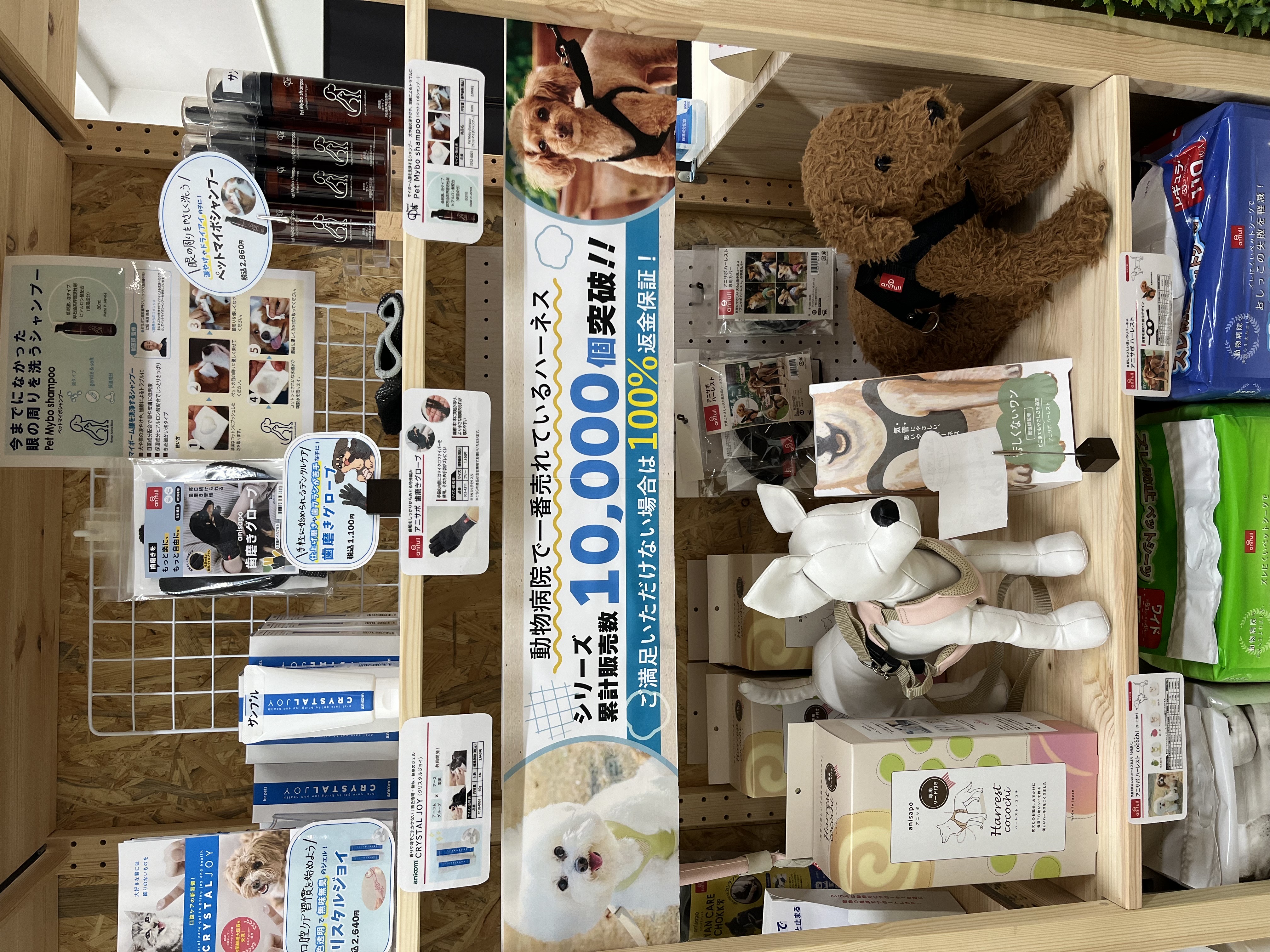 動物病院で一番売れているハーネス！