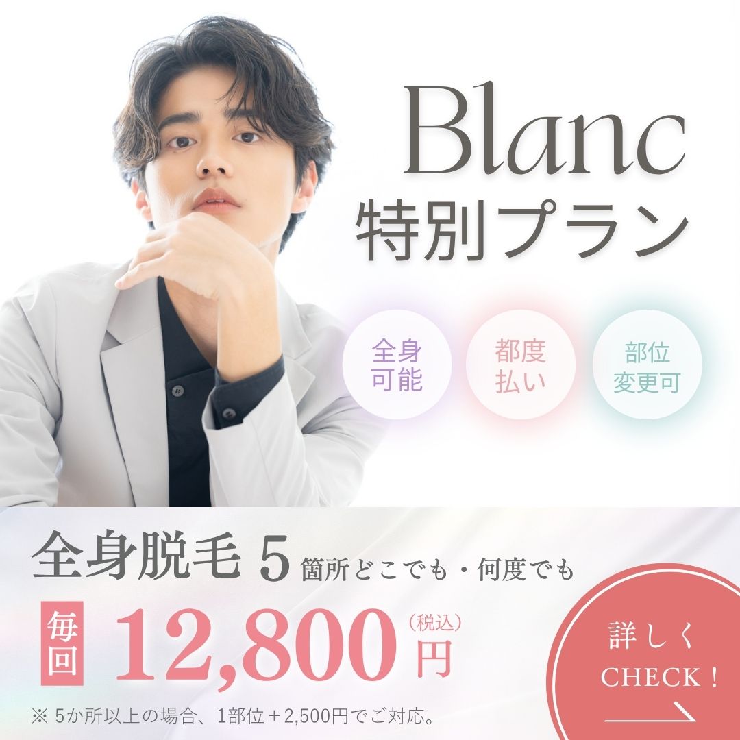 完全都度払いプラン